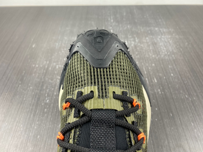 Nike ACG MOUNTAIN FLY LOW 