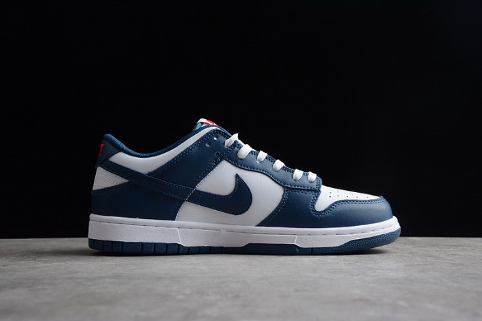 NIKE Dunk Low "Valerian Blue DD1391-400