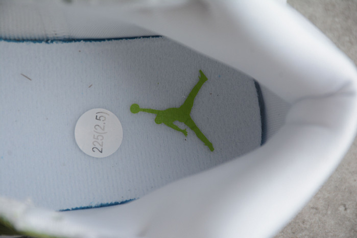 AIR JORDAN 1 MID GREEN PYTHON DV2959-113