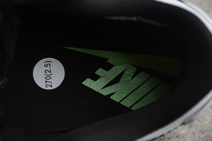 NIKE DUNK LOW DISRUPT 2 “JUST DO IT” DV1490-161