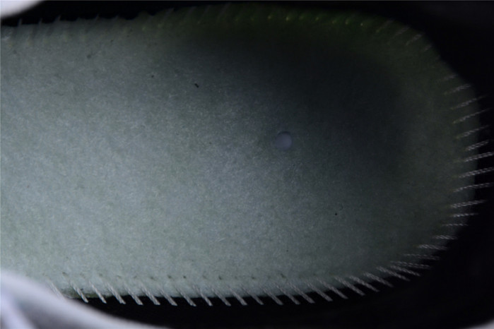 Air VaporMax 2021 Flyknit 