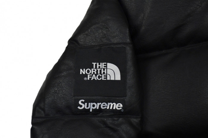 S*p*e x the n0*h f**e 17fw leather nuptse jacket