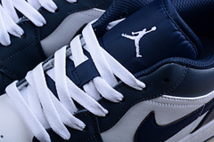 AIR JORDAN 1 LOW COVERED IN BLUE TONES 553558-414